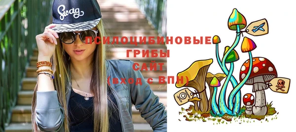 а пвп мука Рославль