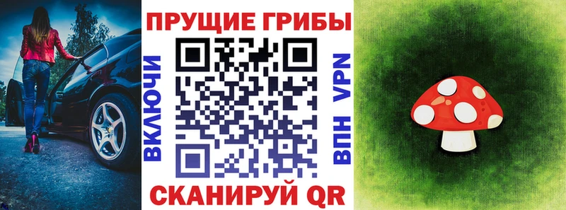 Псилоцибиновые грибы мицелий  площадка наркотические препараты  Бодайбо 